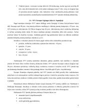 Smulkus verslas 6 puslapis