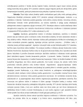 Smulkus verslas 10 puslapis