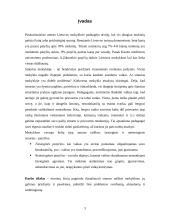 Smurto priežastys ir raiška Lietuvos mokyklose 3 puslapis