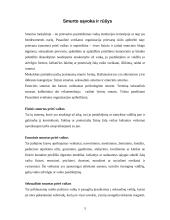 Smurto priežastys ir raiška Lietuvos mokyklose 5 puslapis