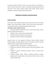 Smurto priežastys ir raiška Lietuvos mokyklose 7 puslapis