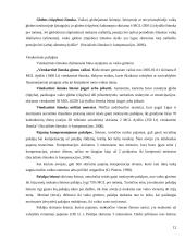 Socialinė apsauga pagal rizikos grupes 12 puslapis