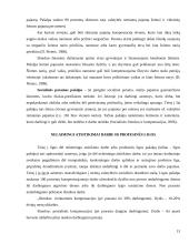 Socialinė apsauga pagal rizikos grupes 13 puslapis