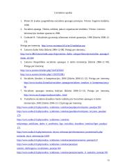 Socialinė apsauga pagal rizikos grupes 15 puslapis