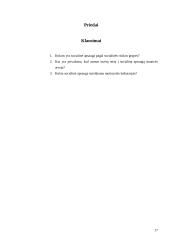 Socialinė apsauga pagal rizikos grupes 17 puslapis