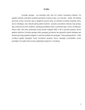 Socialinė apsauga pagal rizikos grupes 2 puslapis