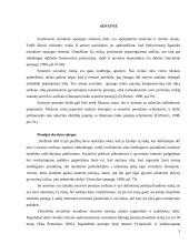 Socialinė apsauga pagal rizikos grupes 3 puslapis