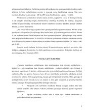 Socialinė apsauga pagal rizikos grupes 4 puslapis