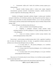 Socialinė apsauga pagal rizikos grupes 5 puslapis