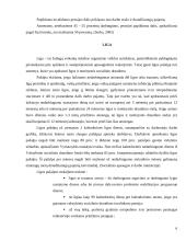 Socialinė apsauga pagal rizikos grupes 6 puslapis