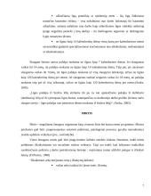 Socialinė apsauga pagal rizikos grupes 7 puslapis