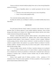 Socialinė apsauga pagal rizikos grupes 9 puslapis