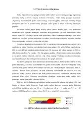 Socialinė situacija Elektrėnų savivaldybėje 7 puslapis