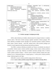 Socialinė situacija Elektrėnų savivaldybėje 10 puslapis