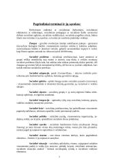 Socialinės edukologijos objektas, principai, sąvokos ir metodologija 3 puslapis