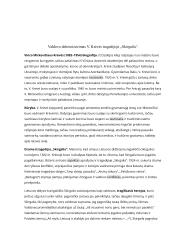Visas lietuvių kalbos konspektas 9 puslapis