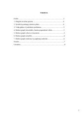 Socialinės paramos organizavimas rizikos grupės asmenims 2 puslapis