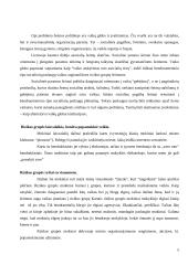 Socialinės paramos organizavimas rizikos grupės asmenims 5 puslapis