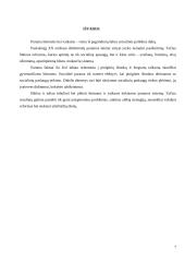 Socialinės paramos organizavimas rizikos grupės asmenims 7 puslapis