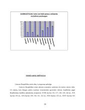 Socialinės paslaugos smurtą patyrusioms moterims 15 puslapis