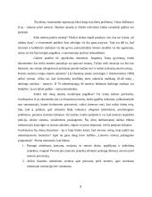 Socialinės paslaugos smurtą patyrusioms moterims 3 puslapis