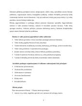 Socialinės paslaugos smurtą patyrusioms moterims 7 puslapis