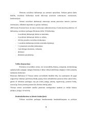 Socialinės paslaugos smurtą patyrusioms moterims 9 puslapis