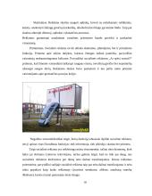 Socialinės reklamos poveikis visuomenei 9 puslapis