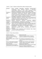 Socialinės-kultūrinės aplinkos įtaka marketingo veiksmams 13 puslapis