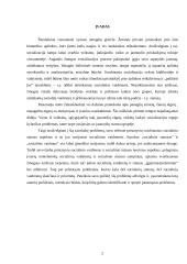 Socialiniai vaidmenys ir statusas 2 puslapis