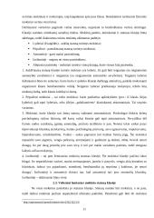 Socialiniai vaidmenys ir statusas 11 puslapis