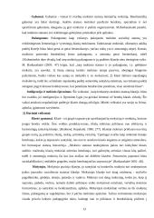 Socialiniai vaidmenys ir statusas 13 puslapis