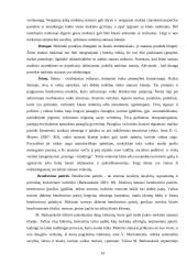 Socialiniai vaidmenys ir statusas 14 puslapis