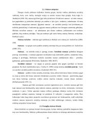 Socialiniai vaidmenys ir statusas 10 puslapis