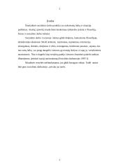 Socialinio darbo etika, jos svarba 2 puslapis