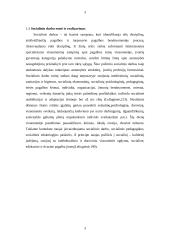 Socialinio darbo etika, jos svarba 3 puslapis