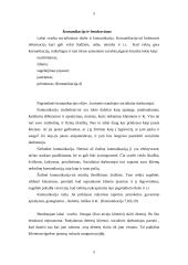 Socialinio darbo etika, jos svarba 5 puslapis