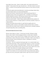 Socialinio darbo ir etikos sąsajos 13 puslapis