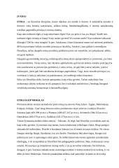 Socialinio darbo ir etikos sąsajos 3 puslapis