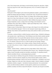 Socialinio darbo ir etikos sąsajos 6 puslapis