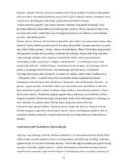 Socialinio darbo ir etikos sąsajos 8 puslapis