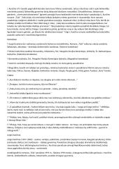 Jurgis Kunčinas (postmodernizmas, 1947- 2002 m.) 2 puslapis