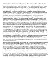 Jurgis Kunčinas (postmodernizmas, 1947- 2002 m.) 3 puslapis