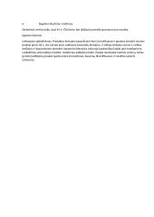 Neoromantizmas, romantizmas ir simbolizmas literatūroje 2 puslapis
