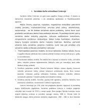 Socialinio darbo profesijos ypatumai ir pasirinkimo motyvacija 4 puslapis