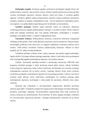 Socialinio darbuotojo vaidmuo, įveikiant priklausomybę narkotinėms medžiagoms 13 puslapis