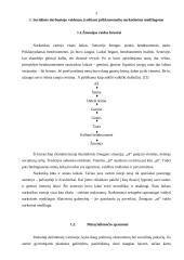 Socialinio darbuotojo vaidmuo, įveikiant priklausomybę narkotinėms medžiagoms 3 puslapis