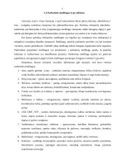 Socialinio darbuotojo vaidmuo, įveikiant priklausomybę narkotinėms medžiagoms 5 puslapis