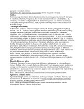 Marius Ivaškevičius (konspektas abiturientams) 2 puslapis