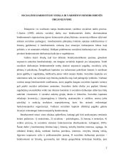 Socialinio darbuotojo veikla ir vaidmenys bendruomenės organizavime 2 puslapis